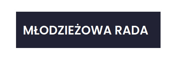 Rafał Wawrzyniak otrzymał mandat członka Młodzieżowej Rady 